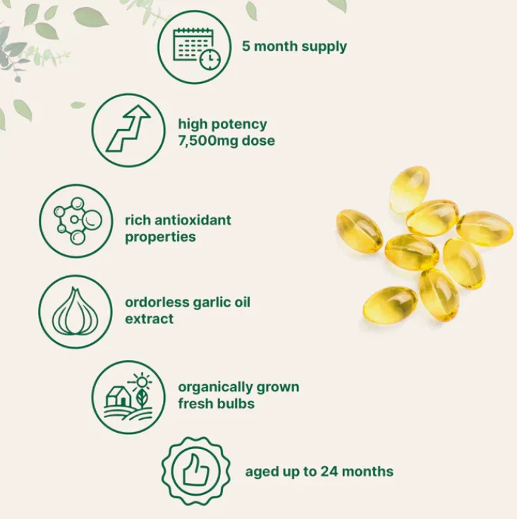 Aged Garlic Extract – Odorless High Potency - Image 4