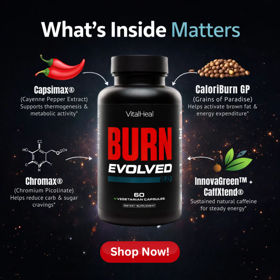Burn Evolved 2.0 Support for Metabolism, Energy & Appetite Control - Image 4