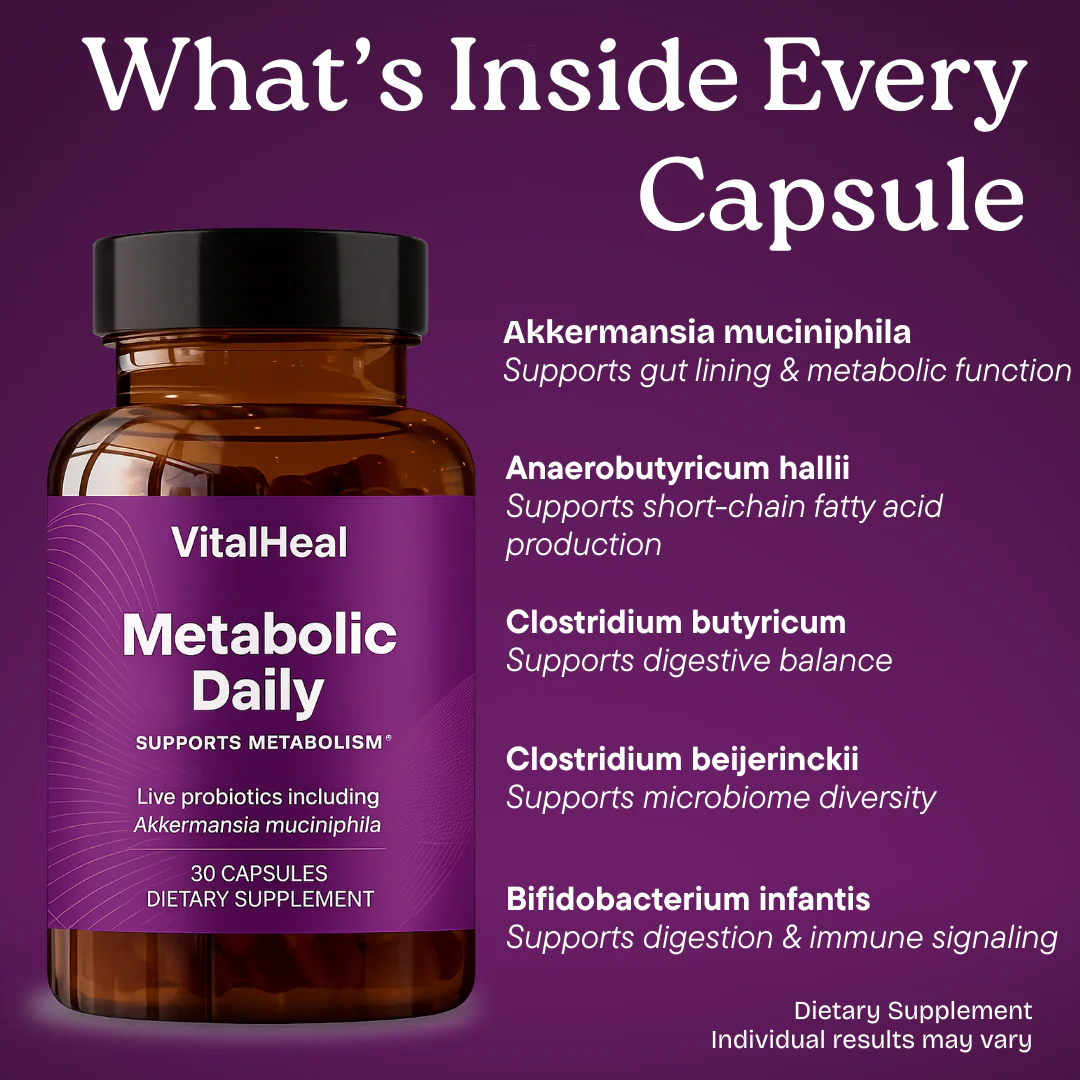 Pendulum Metabolic Daily Probiotic with Akkermansia for Gut & Energy - Image 3