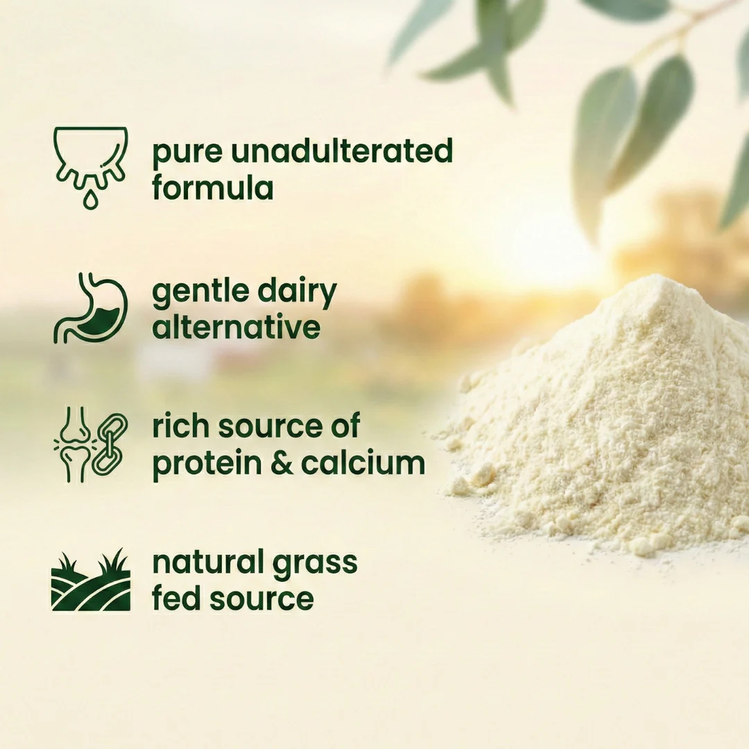 Goat Milk Powder – Powdered Goat Milk for Nutrition, Rich in Protein & Calcium - Image 4