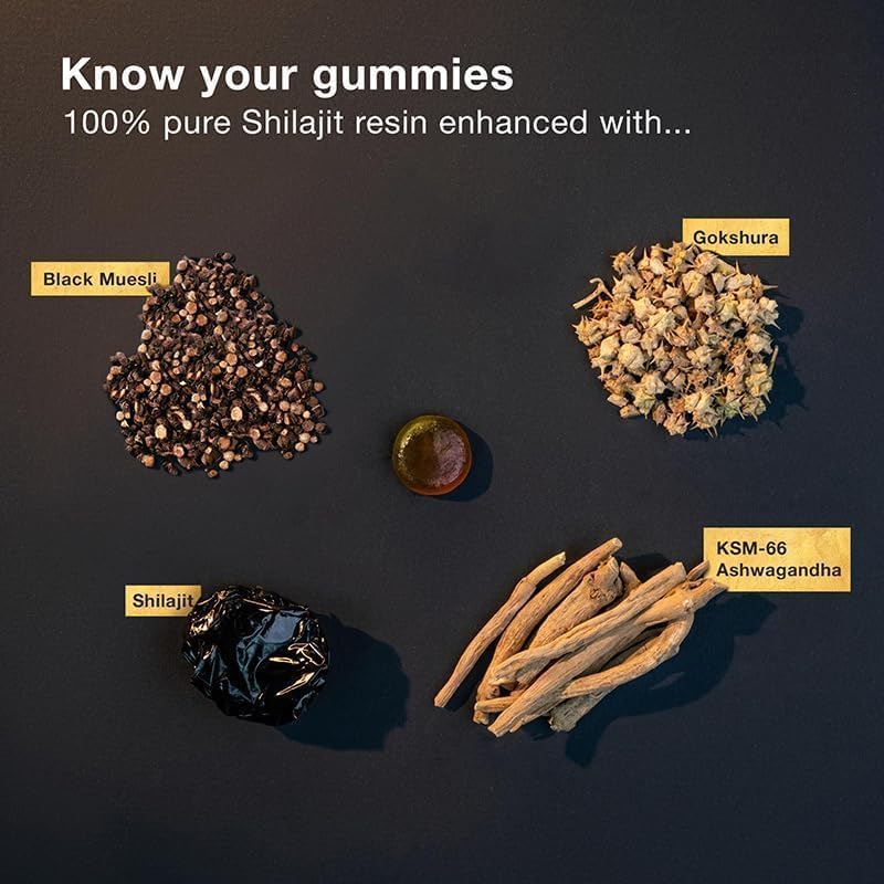 Himalayan Pure Shilajit Gummies - Image 6