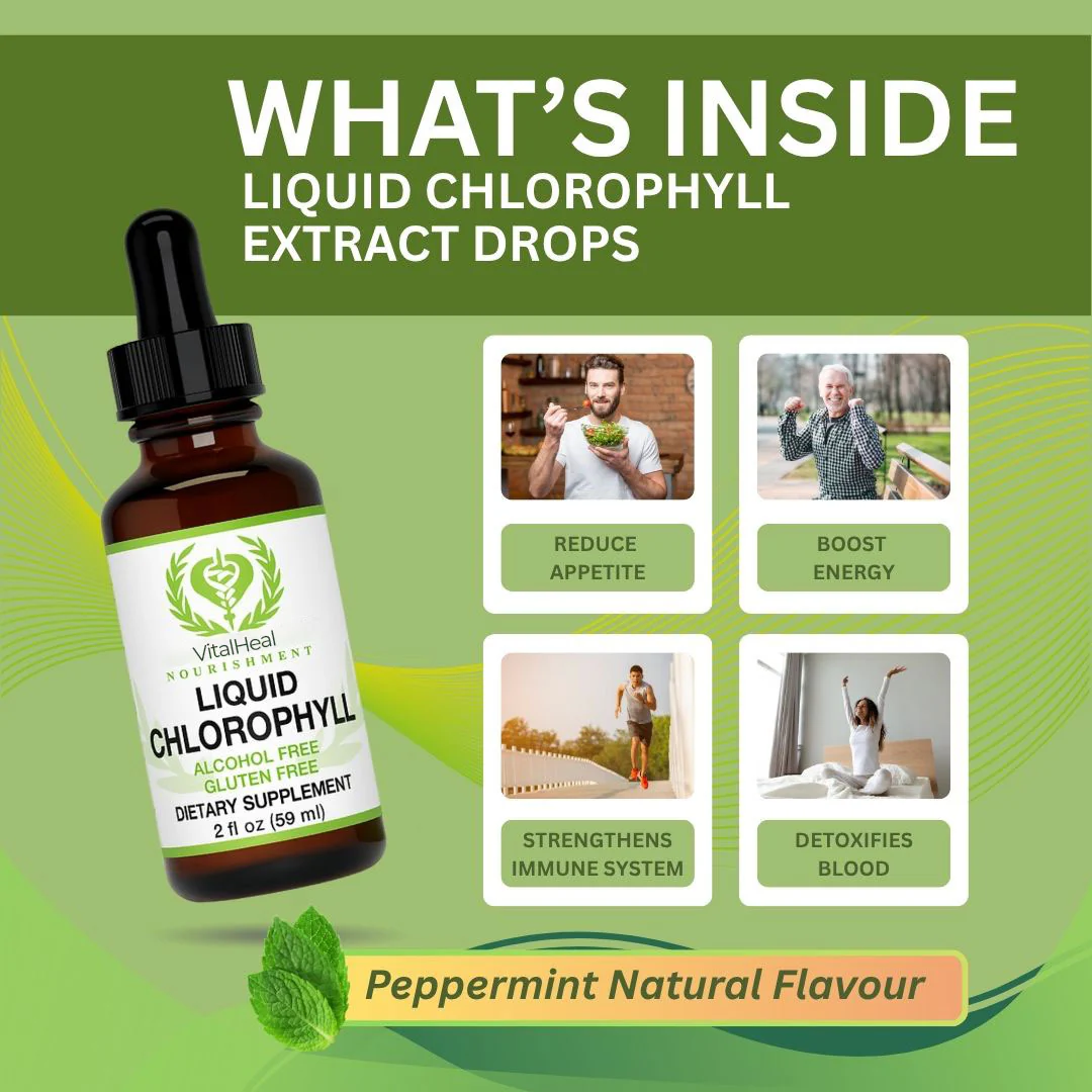 Liquid Chlorophyll Extract Drops – Detox, Energy & Skin Support - Image 4