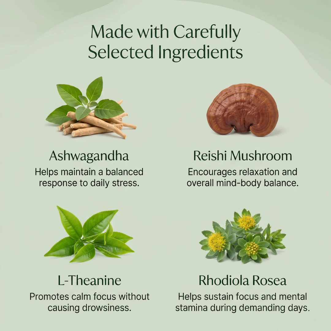 Mushroom Gummies – Stress, Mood & Focus Support with Ashwagandha, Reishi & L-Theanine (Vegan Gummies) - Image 3