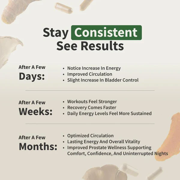 Nitric Oxide + Health Combo – Flow & Vitality Support - Image 7