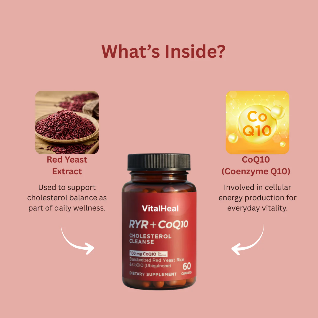 RYR + CoQ10 Supplement Capsules - Image 3
