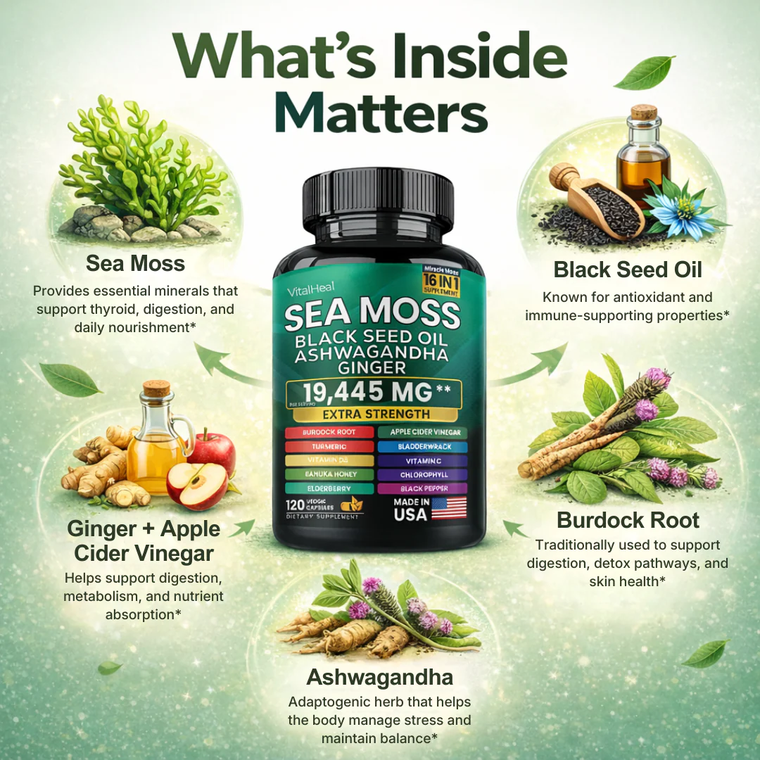 Sea Moss 16-in-1 Supplement for Energy, Digestion, Immunity & Skin Support - Image 3