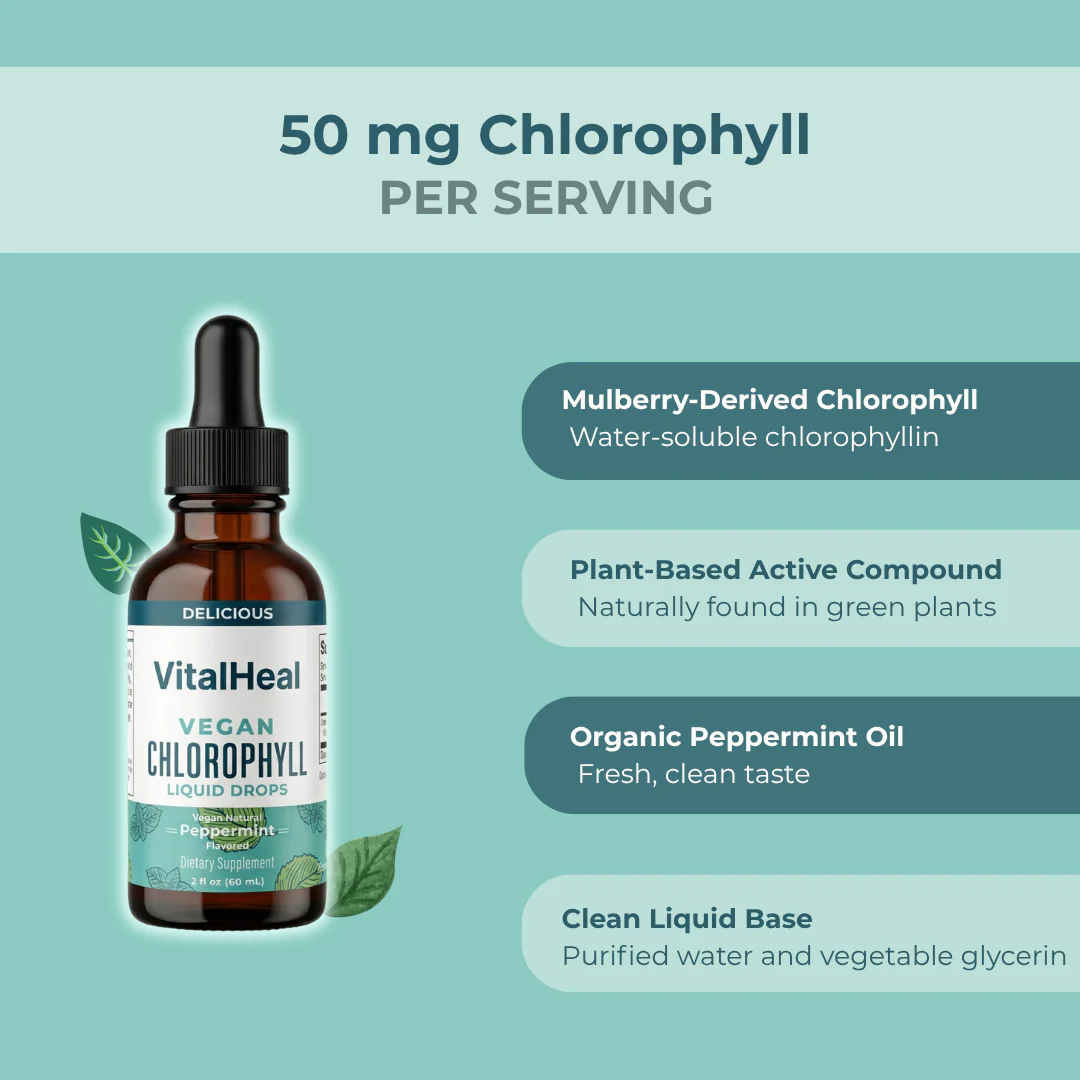 Vegan Chlorophyll Liquid Drops – Chlorophyll Liquid Supplement | Mulberry-Derived for Daily Wellness - Image 3