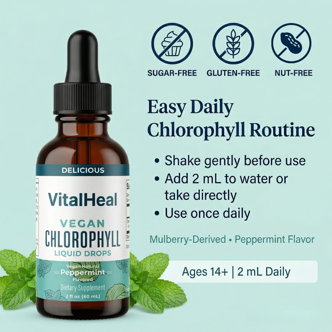 Vegan Chlorophyll Liquid Drops – Chlorophyll Liquid Supplement | Mulberry-Derived for Daily Wellness - Image 4