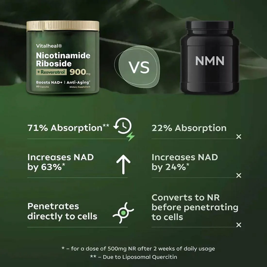 NAD+ Nicotinamide Riboside Supplement Energy Support - 80 Capsules - Image 5