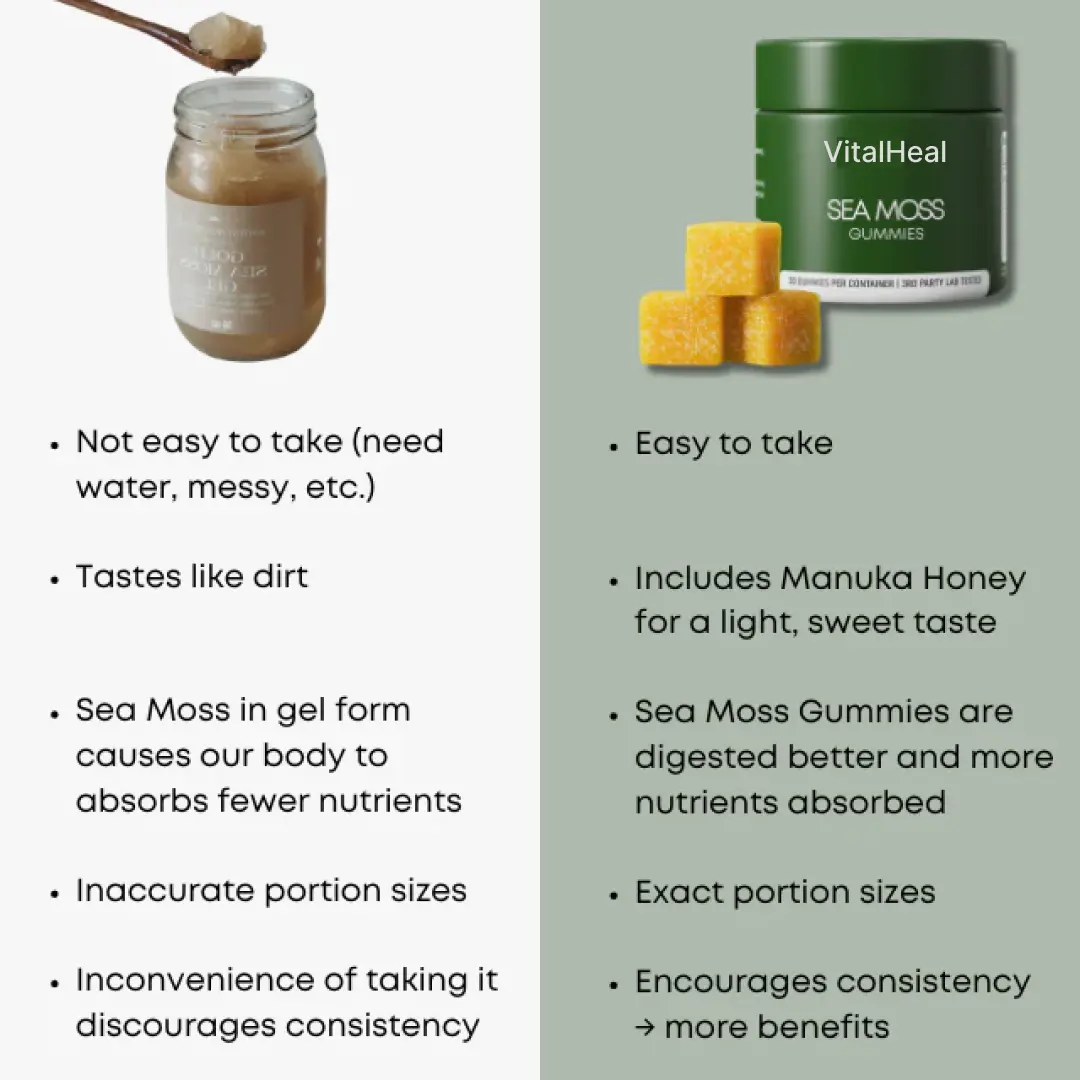 Sea Moss Gummies - Image 3